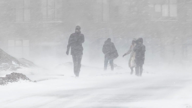 people in a snowstorm