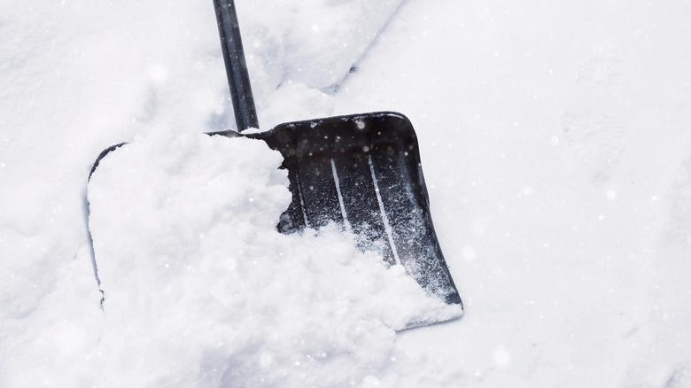 shovel in snow