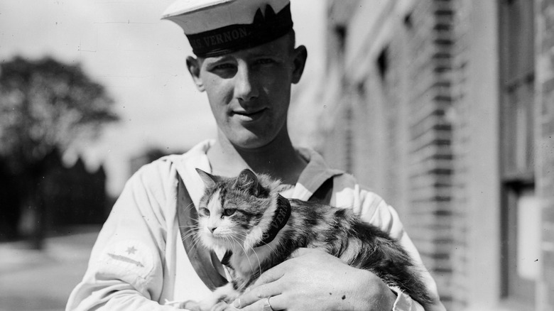 Sailor on the HMS Vernon holding Minnie cat