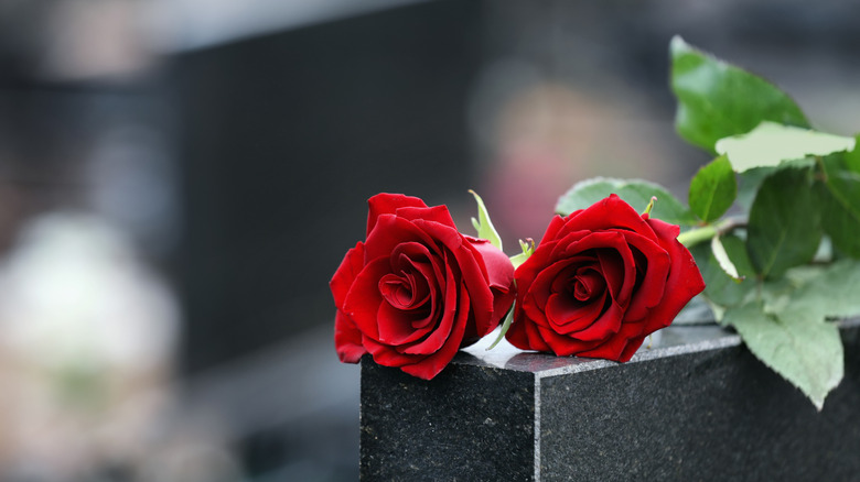 Flower on grave