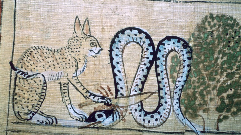 Apophis killed by cat