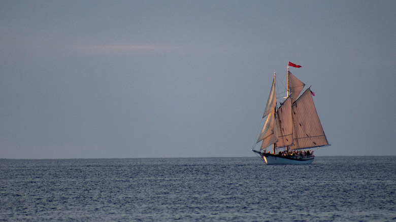 Sailboat out at sea