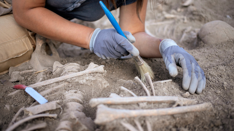 Skeletal exhumation 