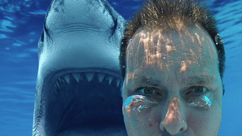 shark behind human taking selfie