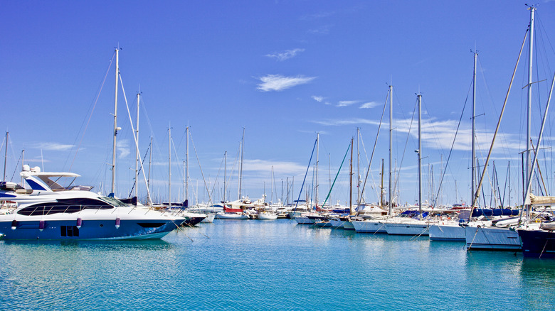 yachts in marina