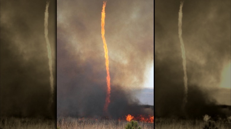 Photo of fire whirl