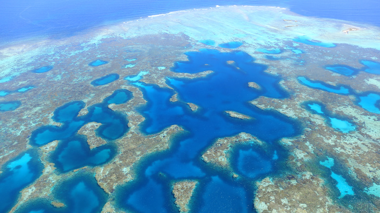 Aerial view of coast