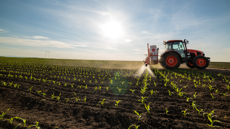 Tractor spraying crops