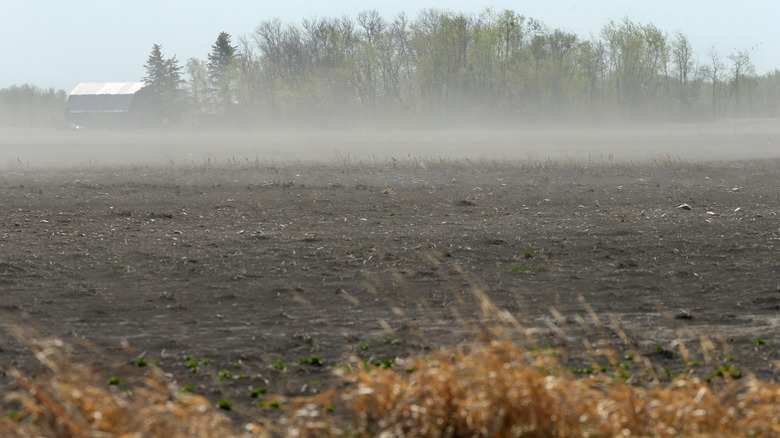 Barren field