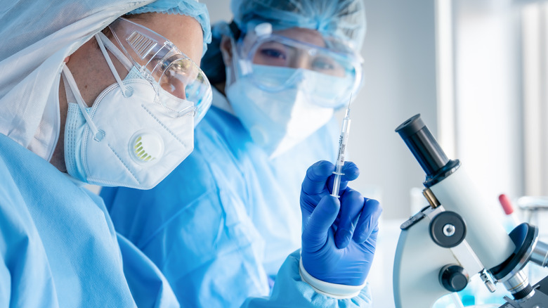 Scientists working in a laboratory