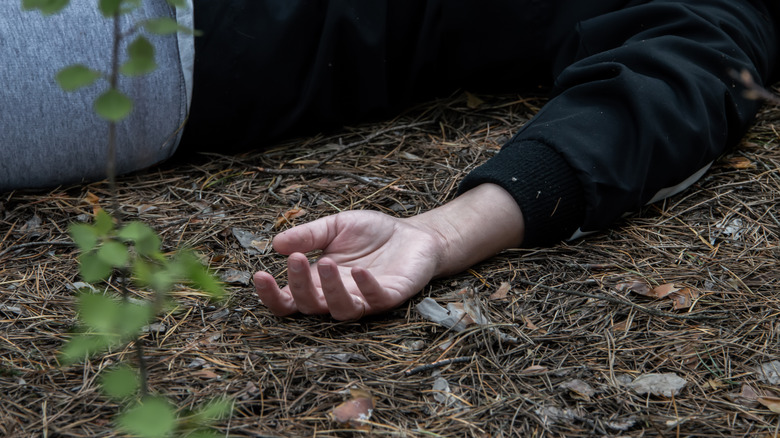 dead body in forest