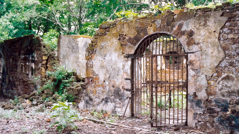 Remains of the Devil's Island prison