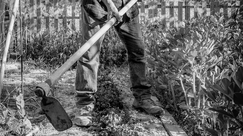 worker using a hoe