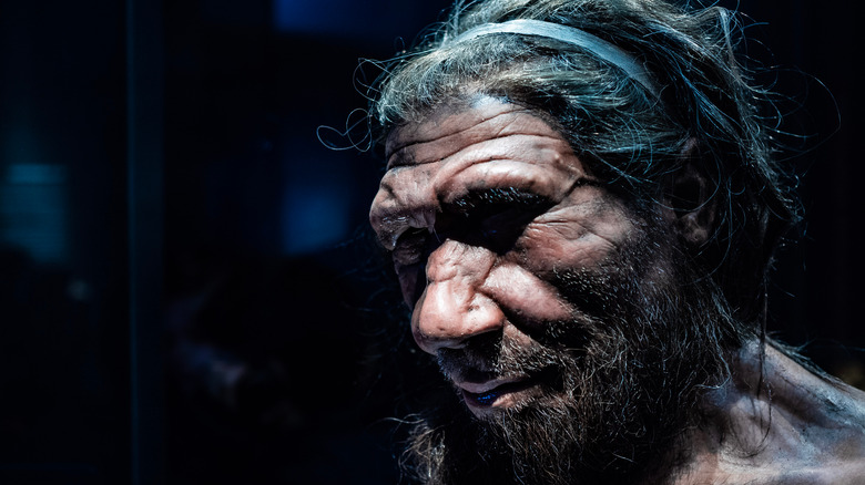 Replica neanderthal head