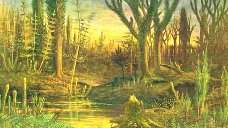 Devonian era forest