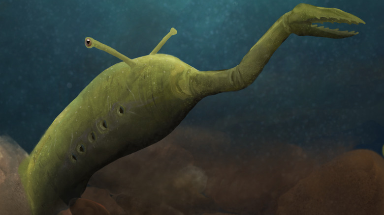 Tully Monster illustration