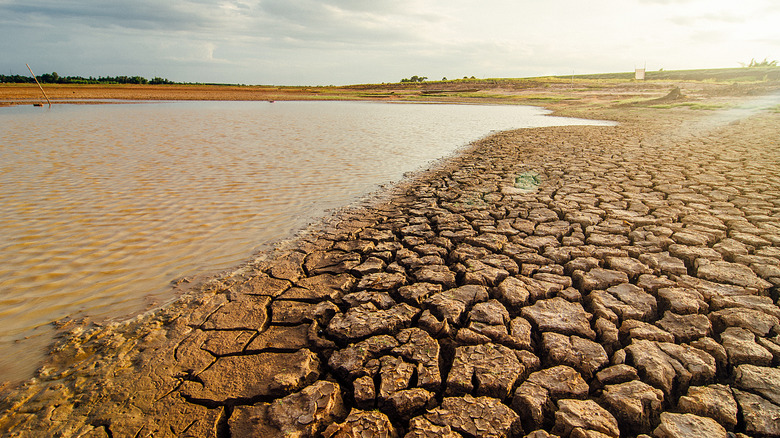 drying lake