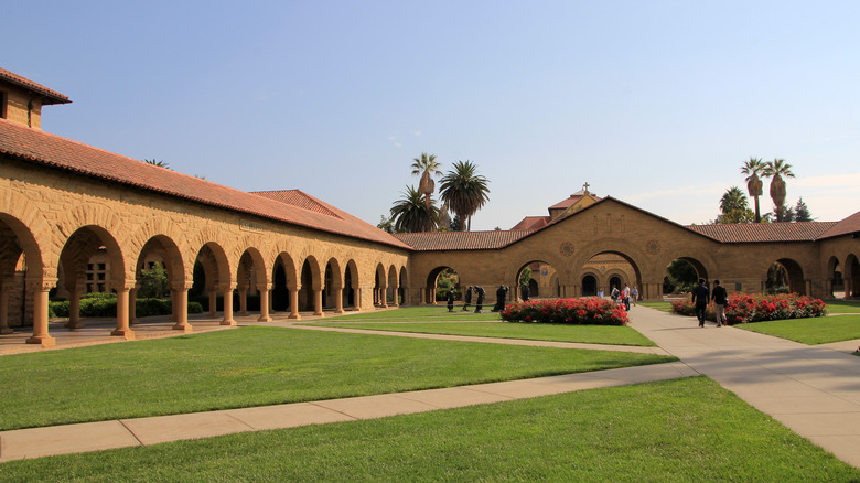 stanford university