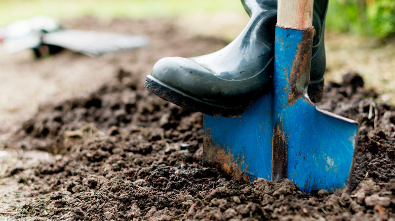 A boot and a shovel