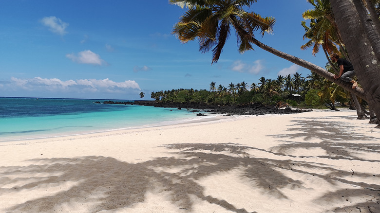 Beach in Comoros