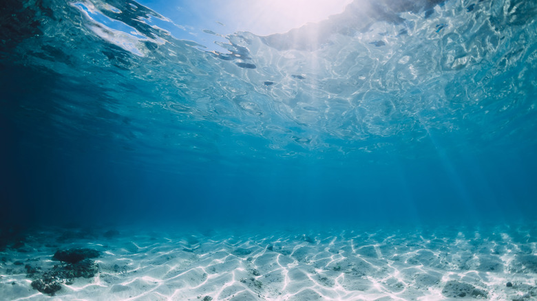 underwater ocean