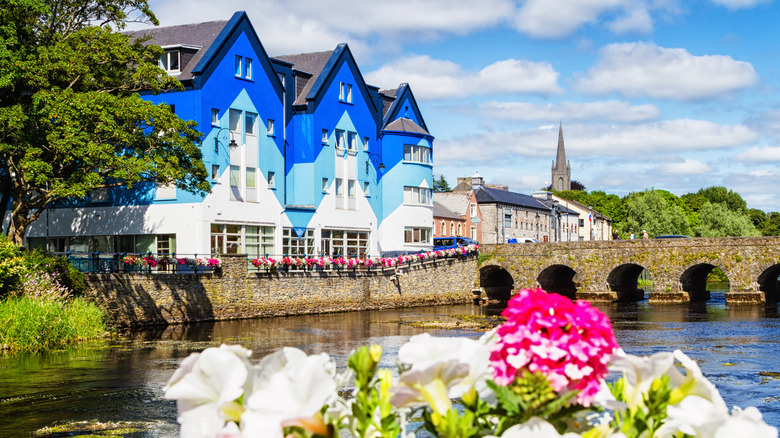 Sligo city colorful homes