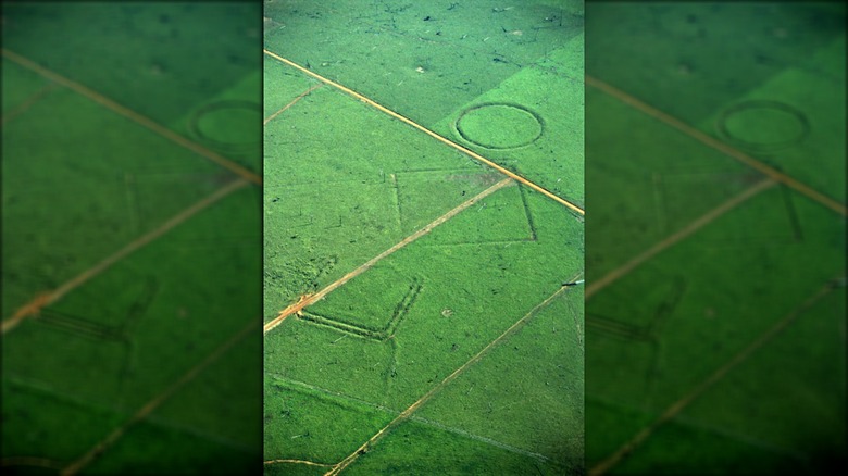 geoglyphs on Fazenda Colorada site in Amazon rainforest