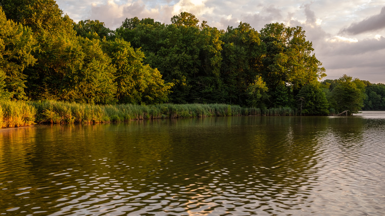 Lums Pond at dusk