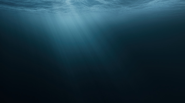 ocean depths