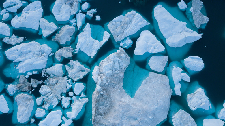 drone image of icebergs, melting from climate change