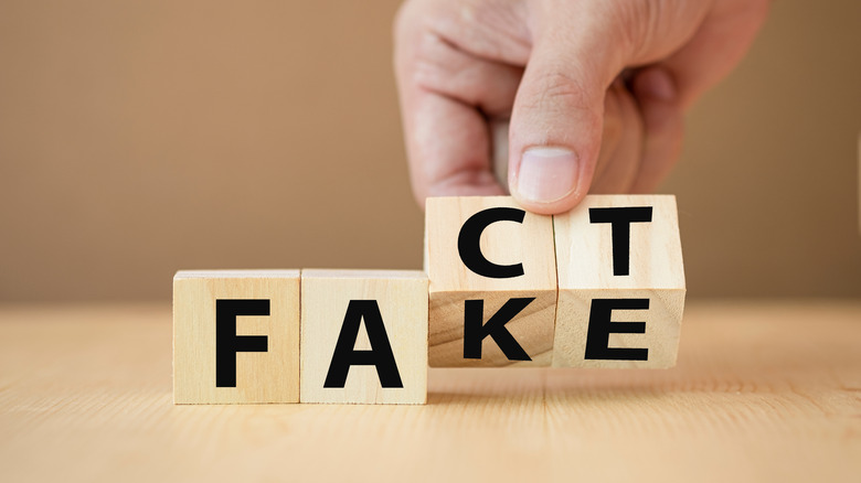 fake or fact letter blocks