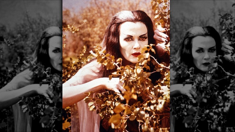 Lily Munster behind a bush