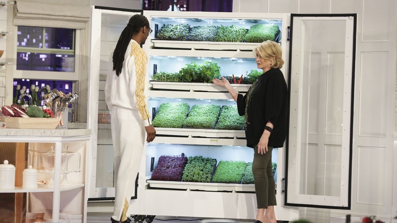 Snoop Dogg and Martha Stewart standing in front of large fridge