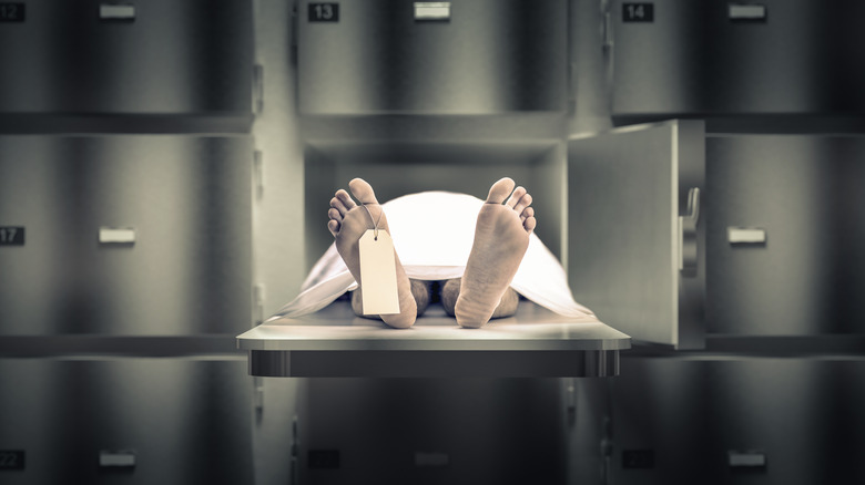 dead body in morgue