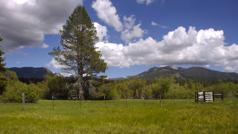 Lake Tahoe Castle Ranch