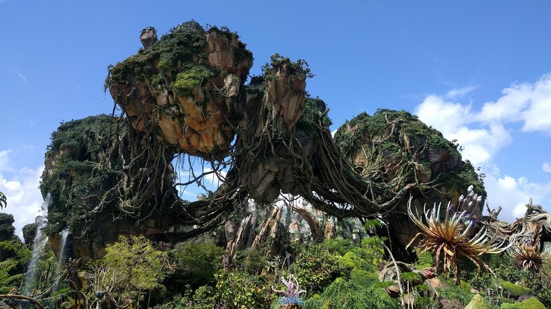 Pandora ride