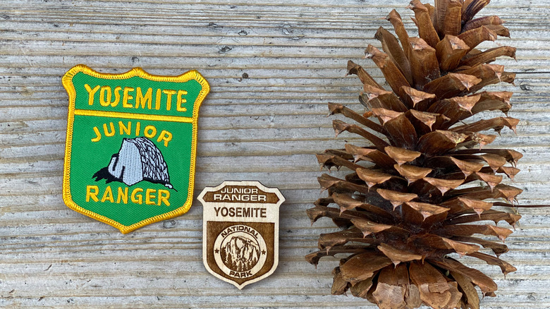 Yosemite Junior Ranger program badge and patch