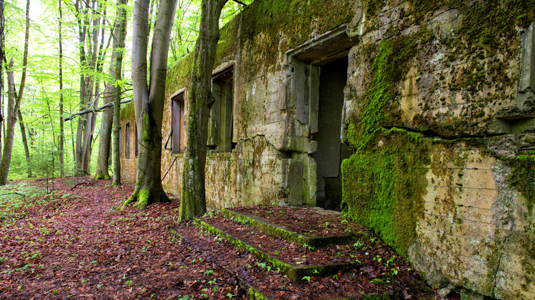 Bunker at Wolf's Lair