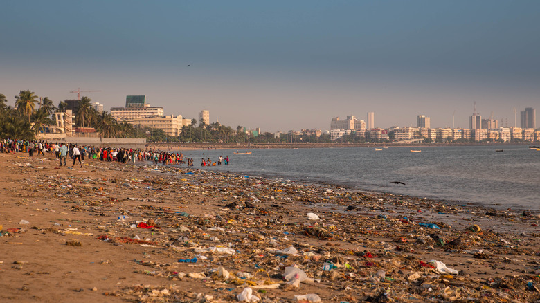 Chowpatty Beach pollution