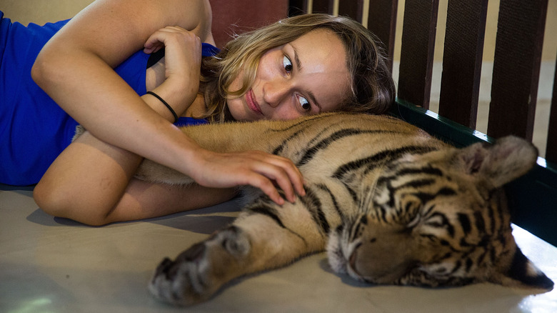 woman laying on a sleeping tiger