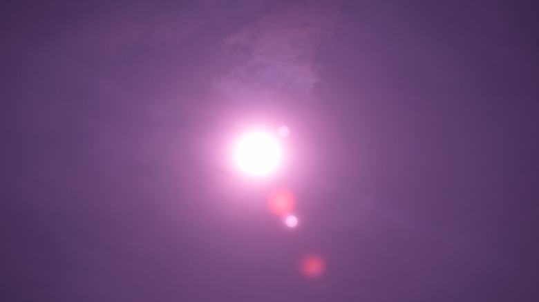 Proxima Centauri, the closest red dwarf