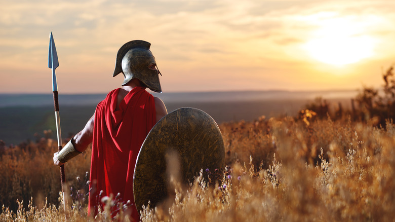 Warrior with shield and spear in field