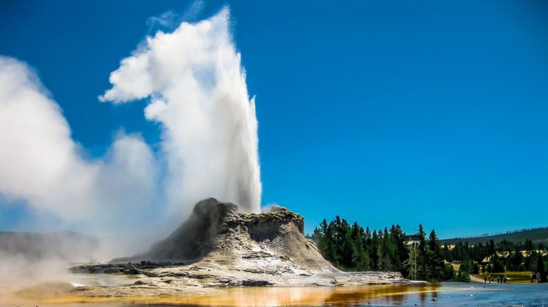 Geyser erupting at Yellowstone National Park