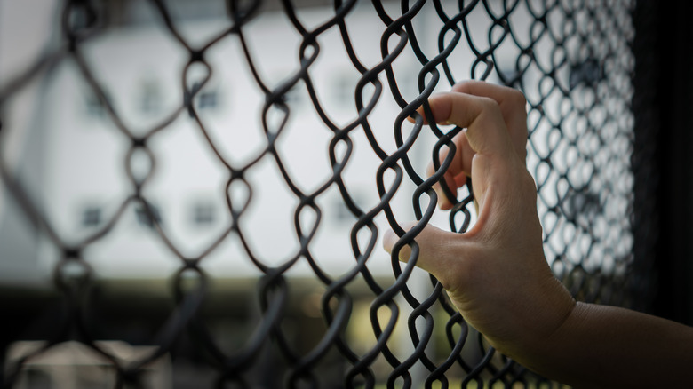 a hand holding a fence