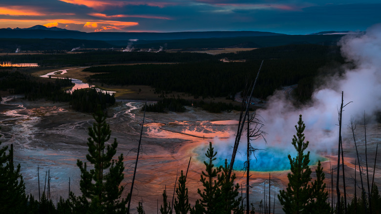 Hot springs at Yellowstone National Park