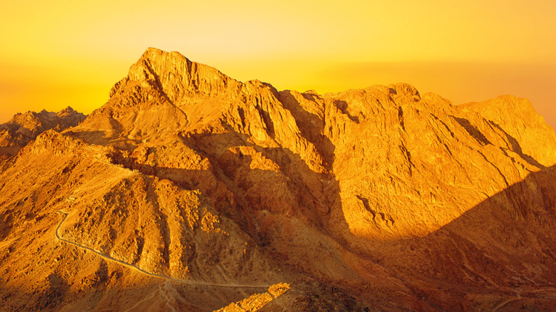 Mount Sinai yellow