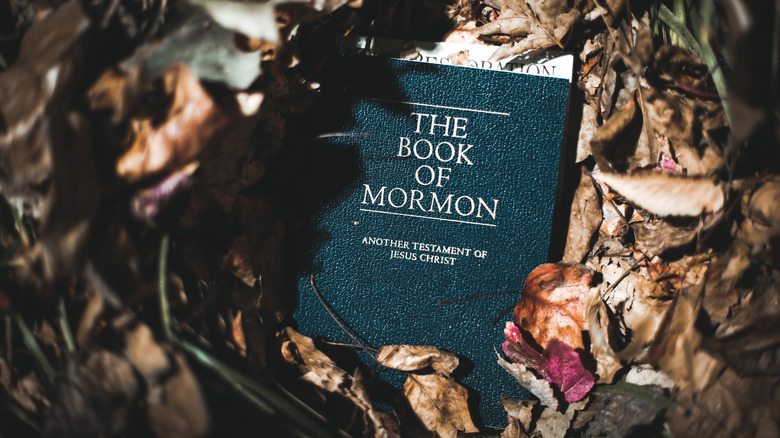 the book of mormon in leaves