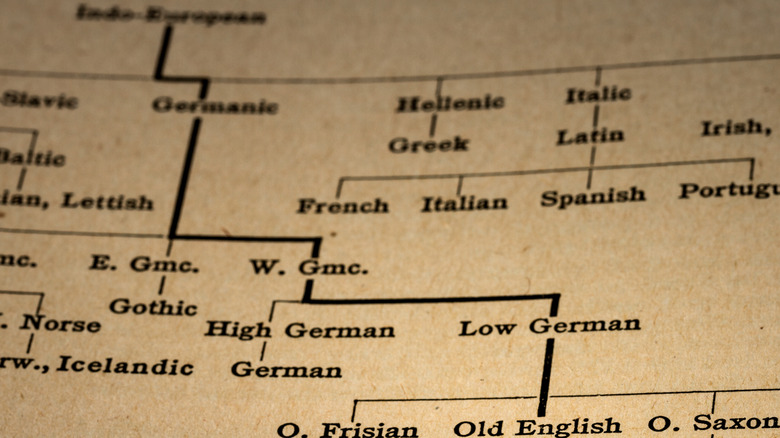 Part of the Indo-European language tree
