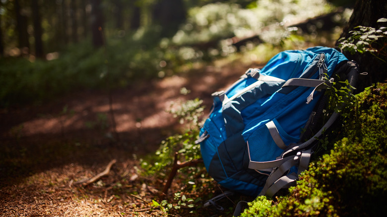 Abandoned backpack in woods