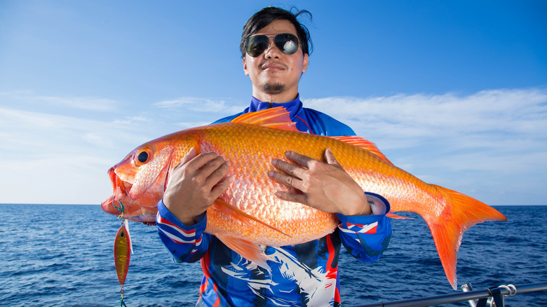 giant goldfish caught